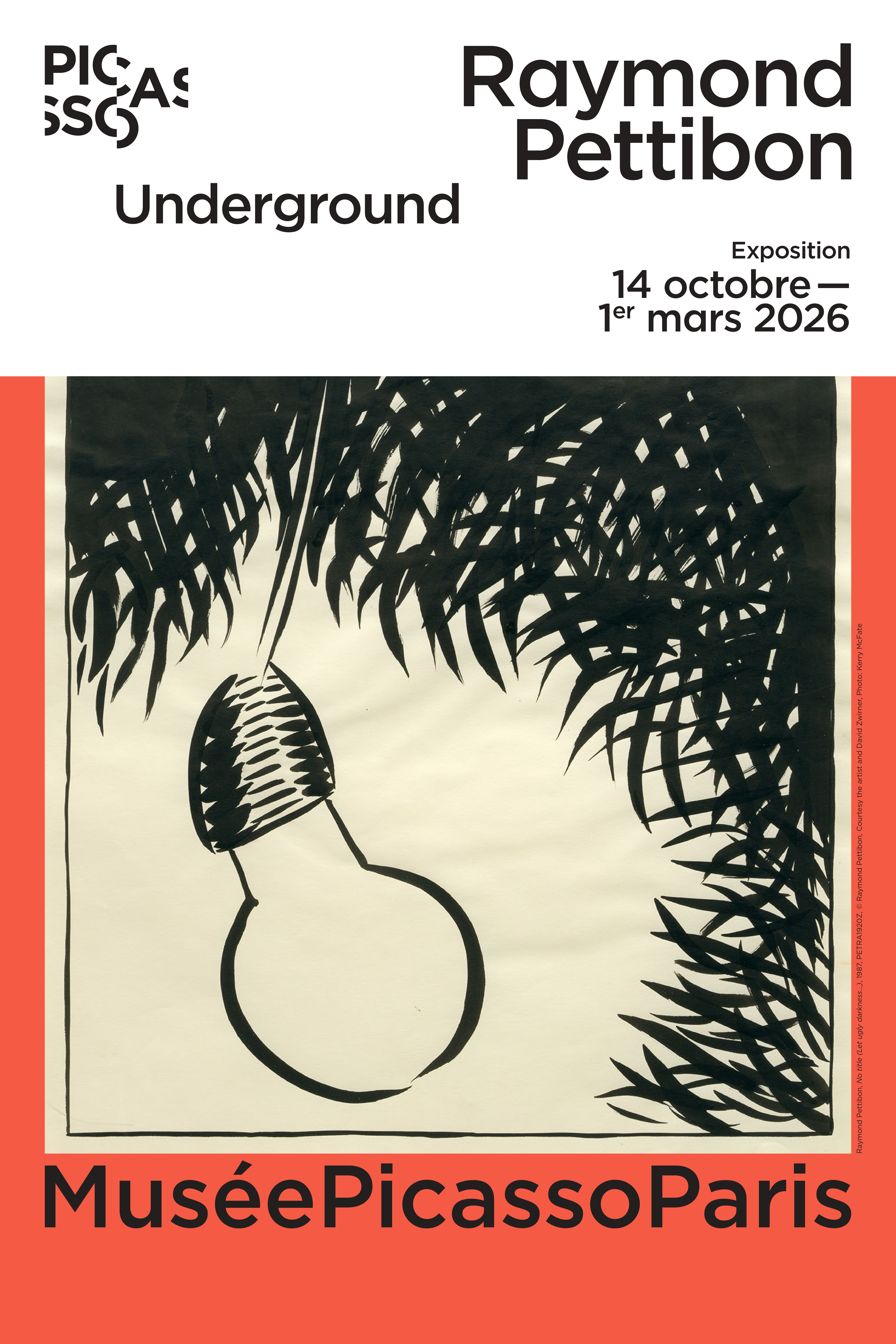Affiche Raymond Pettibon